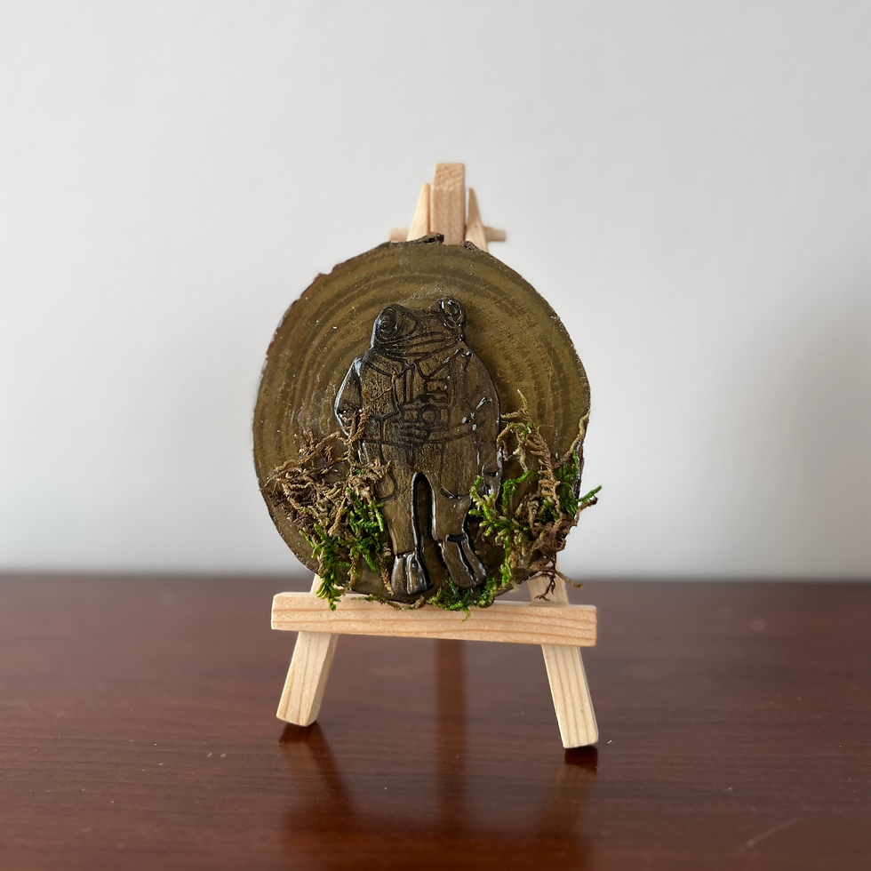 Miniatura: Sapo Concho - Conchito