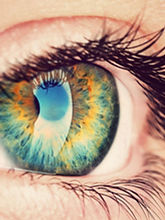elle représente un oeil, pour faire référence à la thérapie EMDR