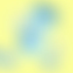 Organizing a Community: Balancing Governance, Business, and Belonging 