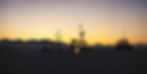 desert festival like burning man_edited.jpg
