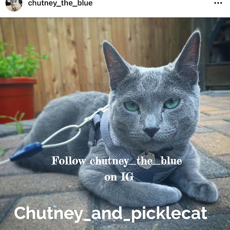 IMG_0834 2_edited_edited.jpg