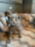 IMG_0878.jpeg