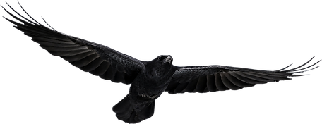 Crow.png