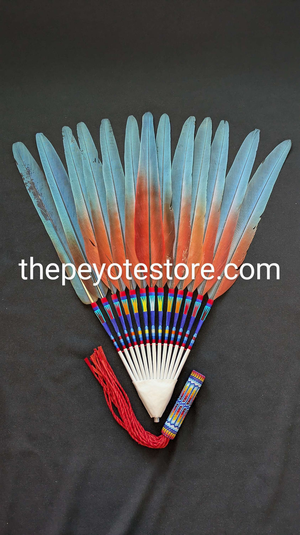 Thumbnail: Green Wing Macaw Peyote Fan 