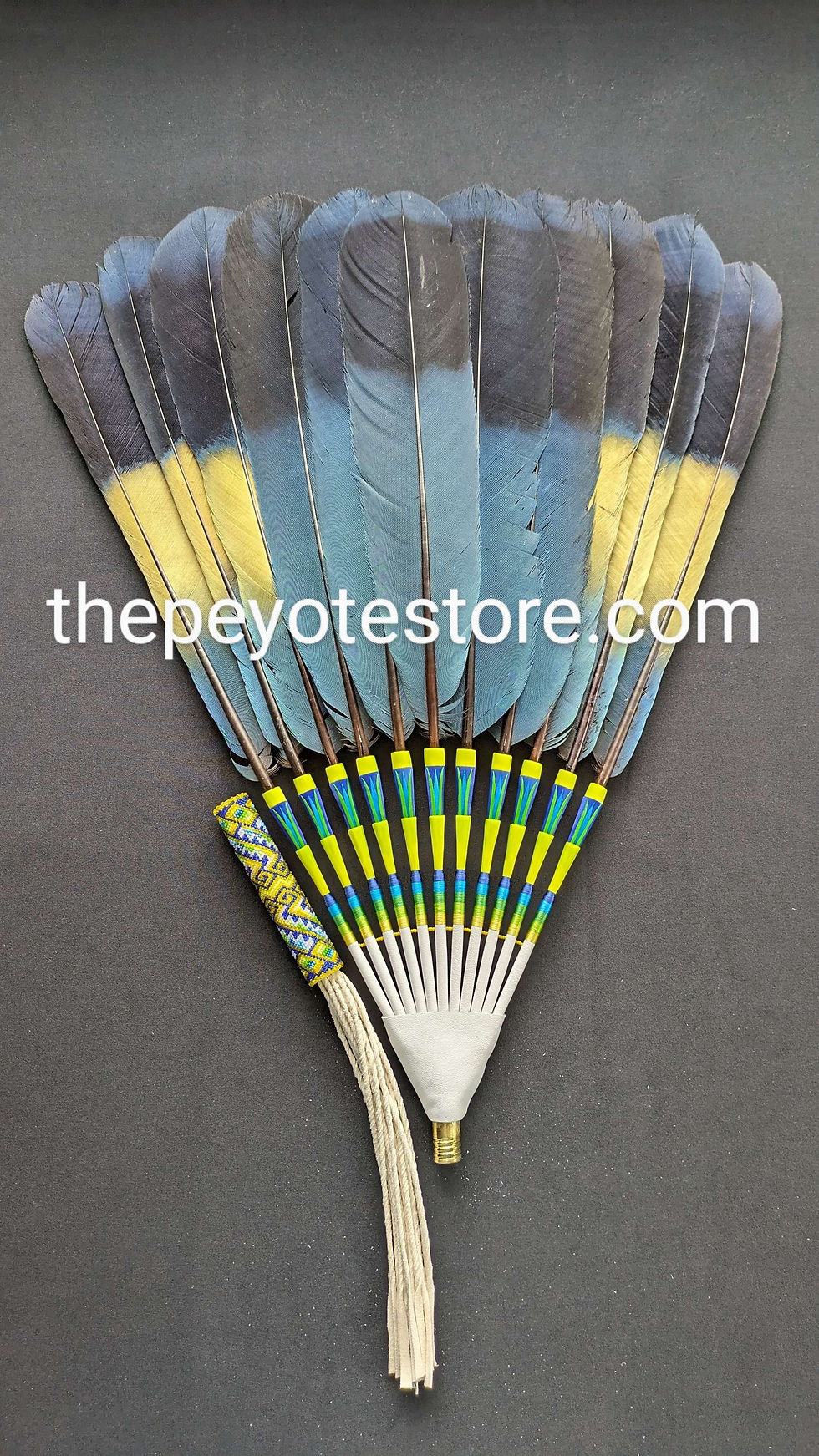 Thumbnail: Great Blue Turaco Fan 02
