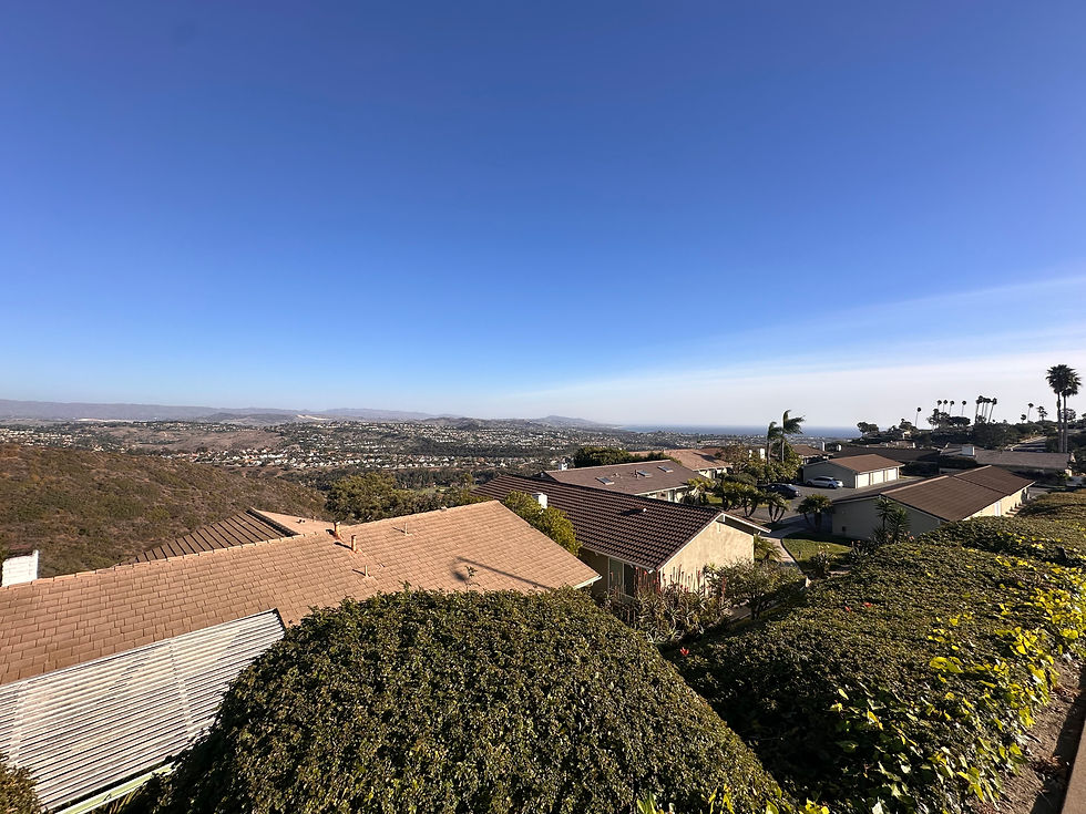 Aerial view of homes in Laguna Niguel with Dana Point and the Pacific Ocean visible in the distance under a clear blue sky.