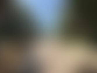 How Long Does It Take to Sell a Home in Dana Point Right Now?