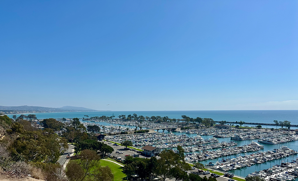 Aerial view of Dana Point Harbor on a clear sunny day, showcasing a marina filled with boats and yachts, surrounded by palm trees, coastal roads, and the Pacific Ocean stretching into the horizon.