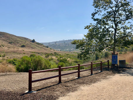 Laguna Niguel Is the Only City Still Adding Inventory: Coastal Orange County Market Update, August 17, 2026