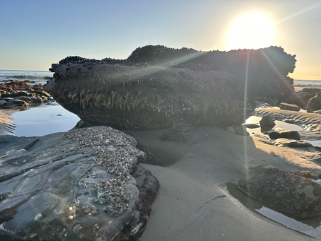 Why Live in Coastal Orange County? Top 7 Reasons for 2025