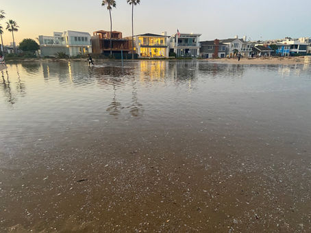Do I Need to Worry About King Tide Flooding If I Own a Home on Newport Island or Balboa Island?
