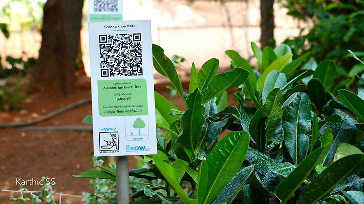 imgi_14_Nursery-QR-Code-11.jpg