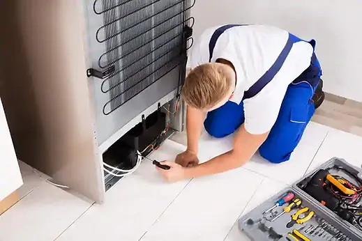 default-refrigerator-repair-and-services-6.webp