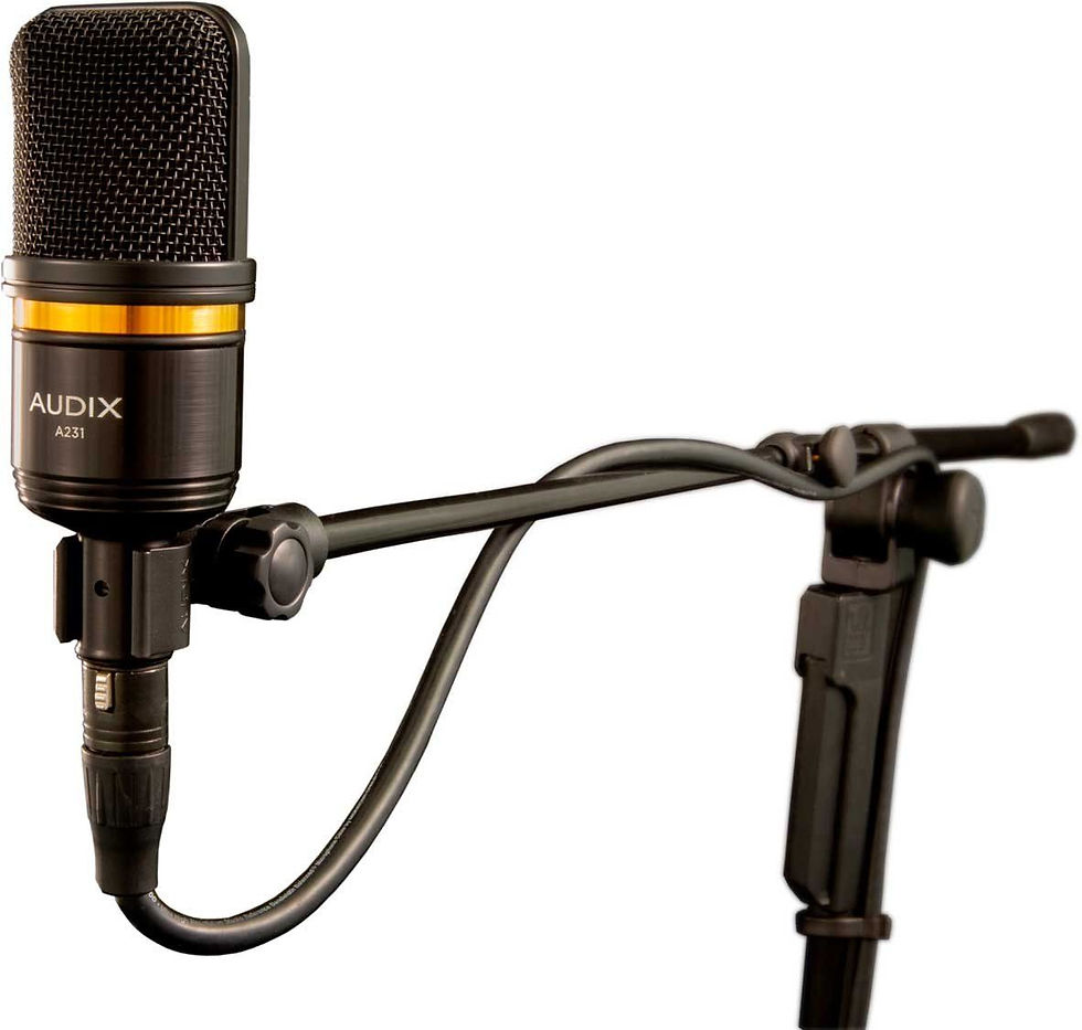 Audix - A231