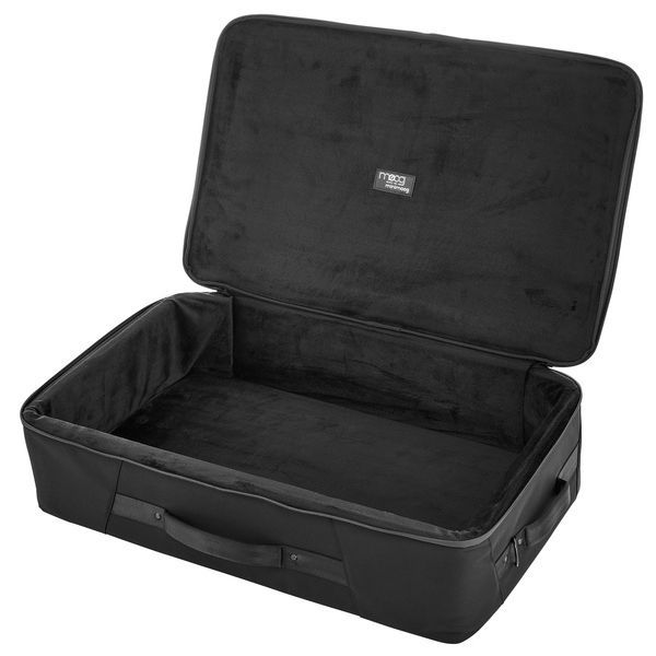 Miniatura: MOOG - Model D SR Case