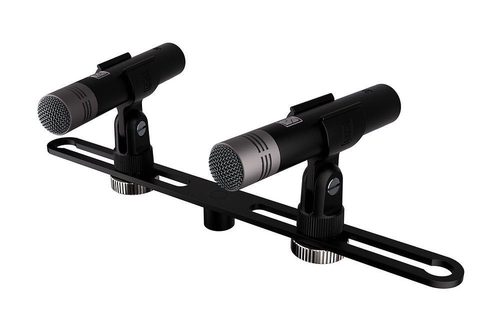 Miniatura: SLATE DIGITAL - ML-2A