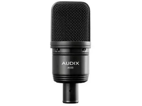 Audix A133
