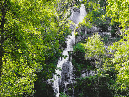 Best things to do in Dartmoor National Park, UK
