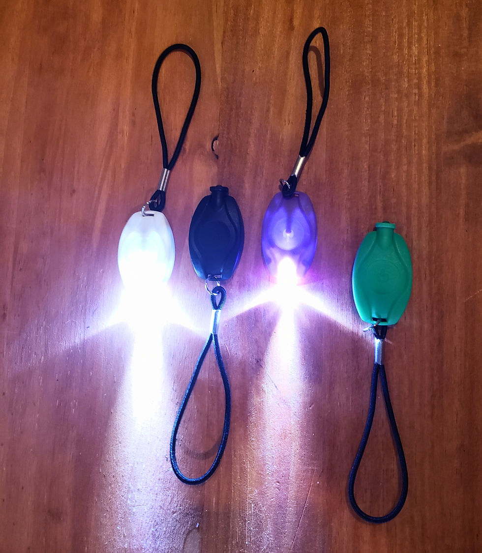 Thumbnail: LED Safety Light Keychain