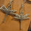 Thumbnail: Silver Dragonfly Jewelry Collection