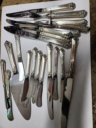 Breniser Coin Auction