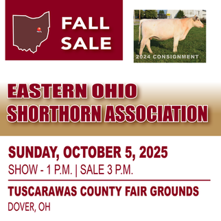 Eastern Ohio Shorthorn Assn. sale on Sunday, October 5, 2025, at the Tuscarawas County Fairgrounds in Dover, Ohio.