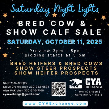 CYA Night Sale (Instagram Post).png