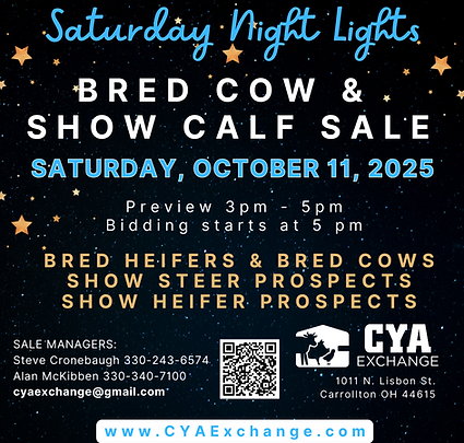 CYA Night Sale (Instagram Post).png