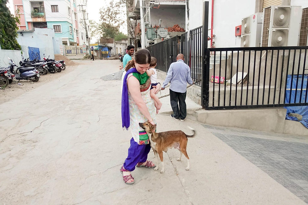 Walking a dog on a city street