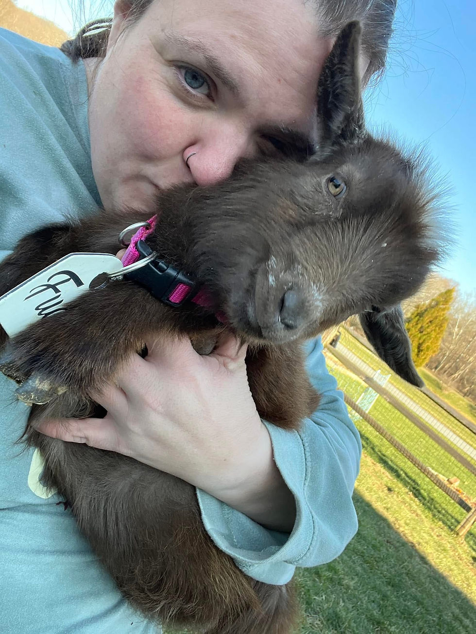 Brooke with a brown baby goat wearing a pink collar