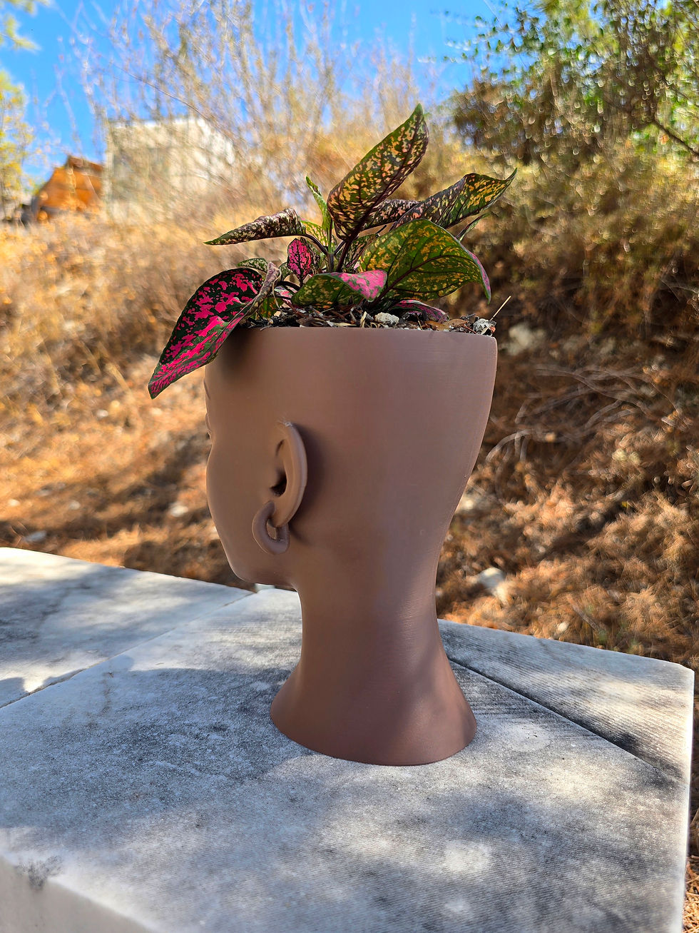 Thumbnail: Female Face Vase
