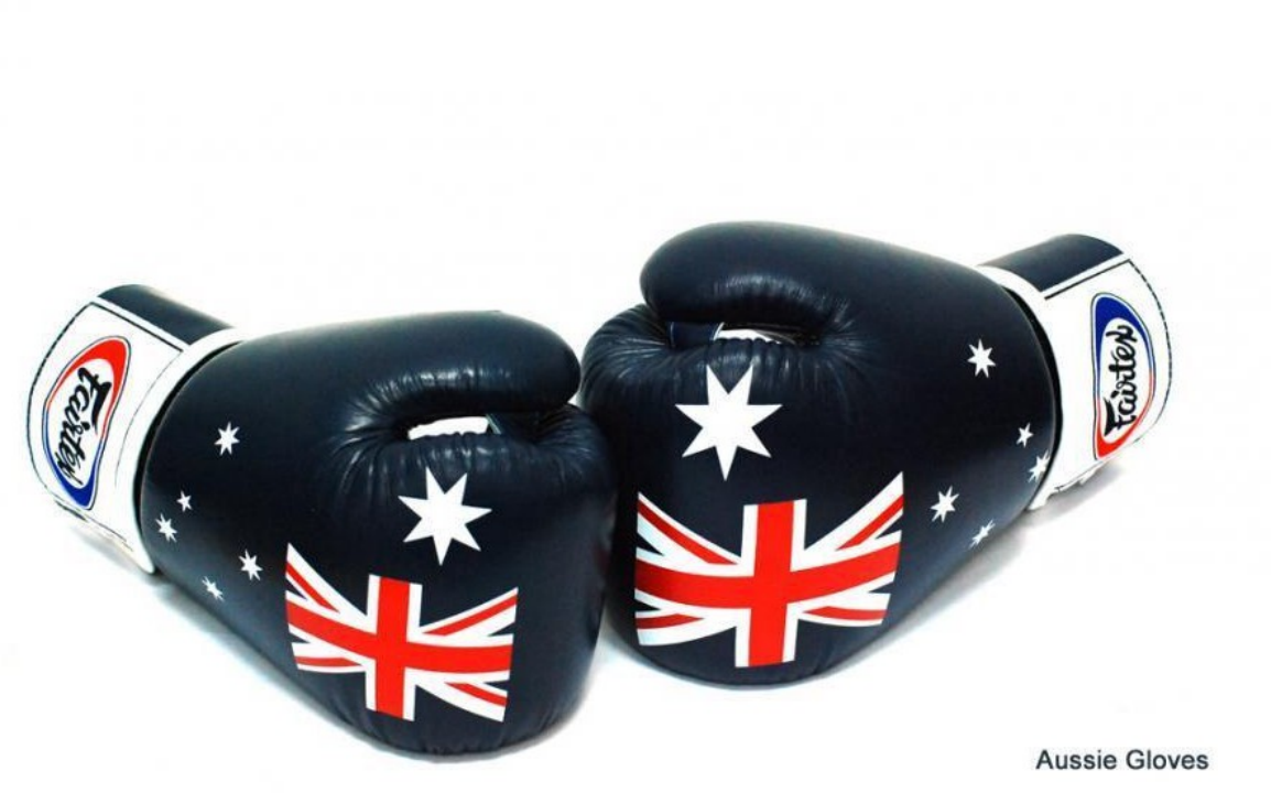 Fairtex真皮拳套 12oz