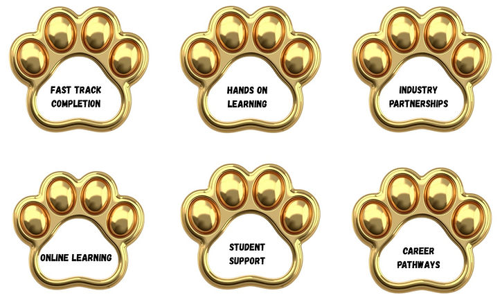 6 golden paws design 2.jpg