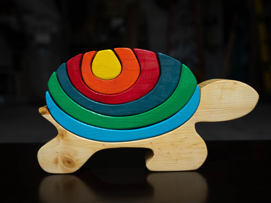 Turtle Toy-05894.jpg