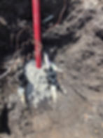 Irrigation Leak Repair