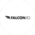 falcon