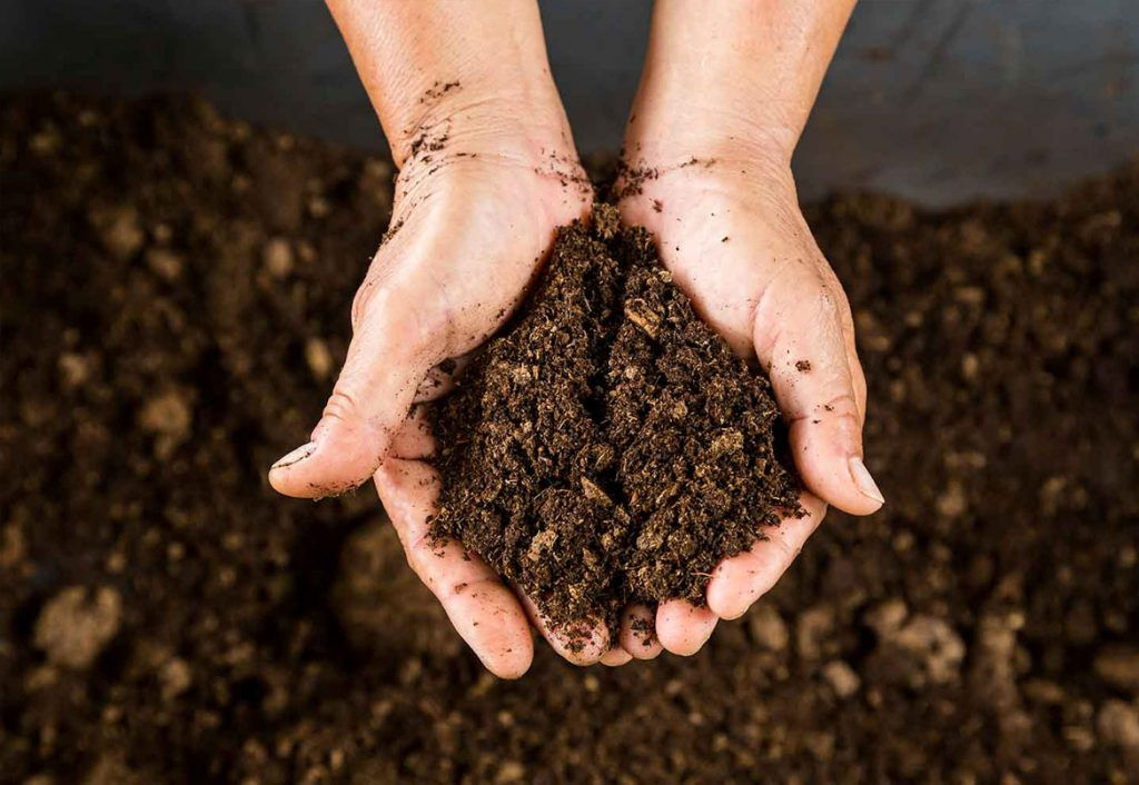 Compost - 1000kg