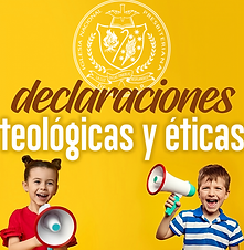 declaraciones web.png