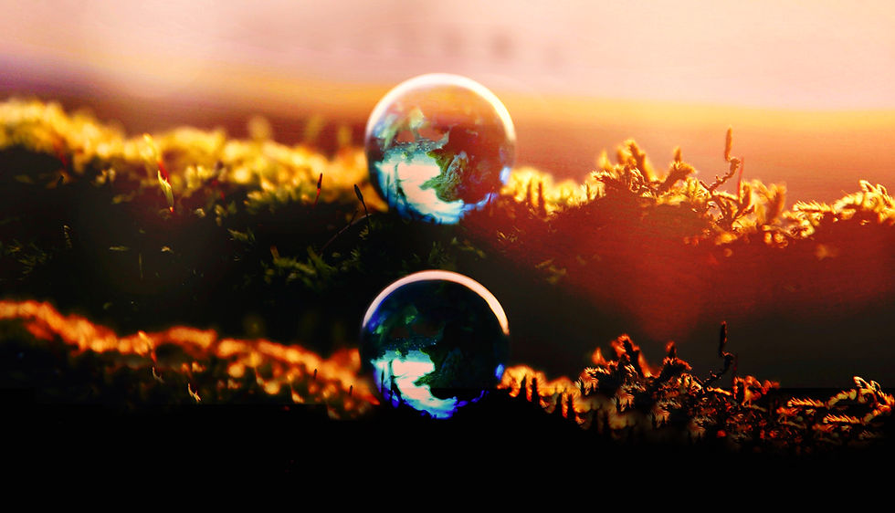 There is no planet B
