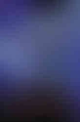 Book cover for Ink Exchange by Melissa Marr