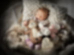 Newborn Shooting, Baby in Körbchen mit Fell und Kuscheltier, im Studio von ad Photographie