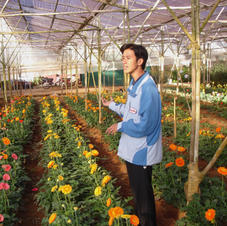 Dalias provide livings for residents