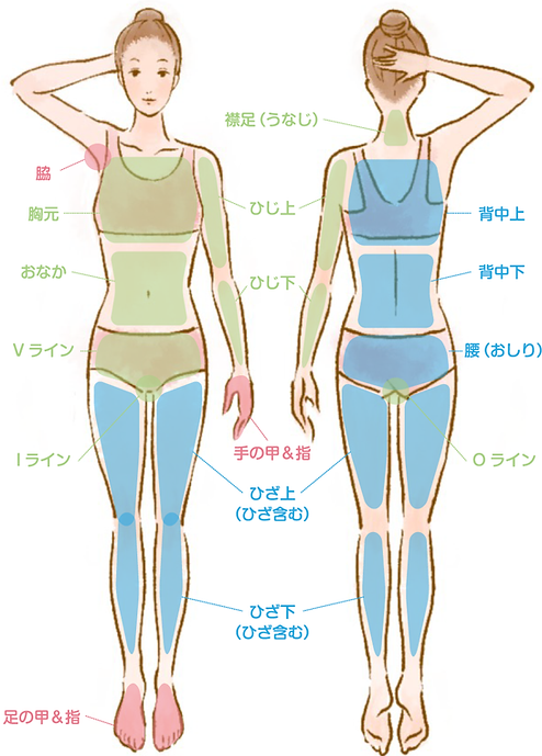 menu01.png
