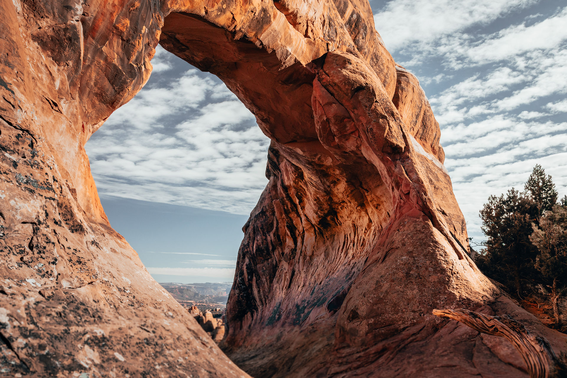wave in rock formation arches national park
