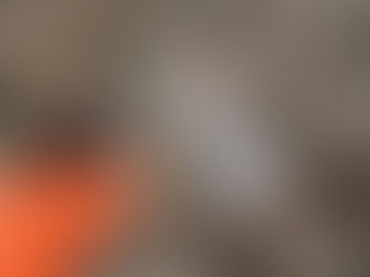 Hoe bouw je als fotograaf een sterk portfolio op?