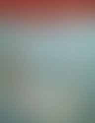 Joyful Journeys | Spring 2026