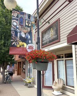 A Why Not Niwot? lamppost banner on 2nd Avenue in Niwot