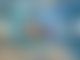 Watercolor Flowers // Water and Light  |  November 2015