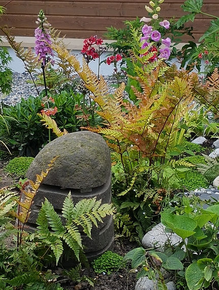 20170524_114533.jpg