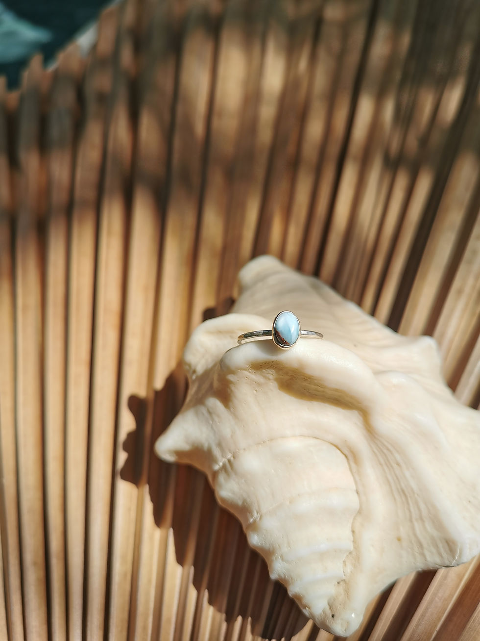 Dewi Samudra Collection